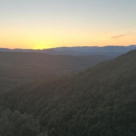 Casa Di Gaia Appartamento Sassetta Esterno foto