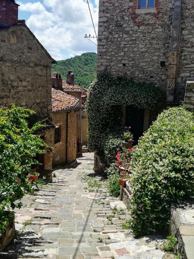 Casa Di Gaia Appartamento Sassetta Esterno foto